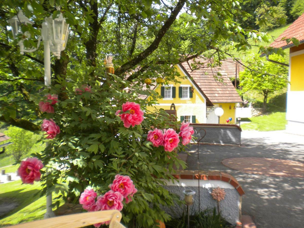 Buchschneider - Ferienhaus Maier - Landhof Schwarzautal ภายนอก รูปภาพ