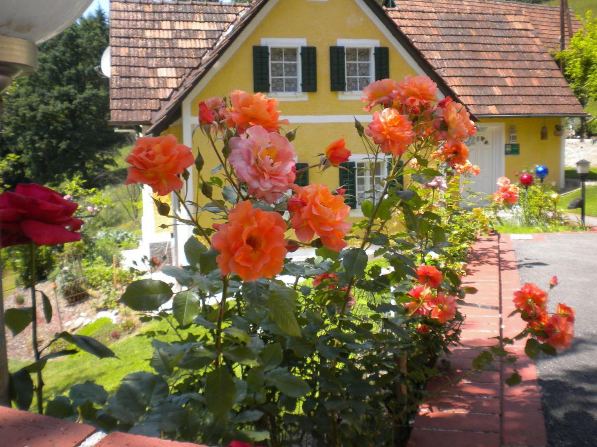 Buchschneider - Ferienhaus Maier - Landhof Schwarzautal ภายนอก รูปภาพ