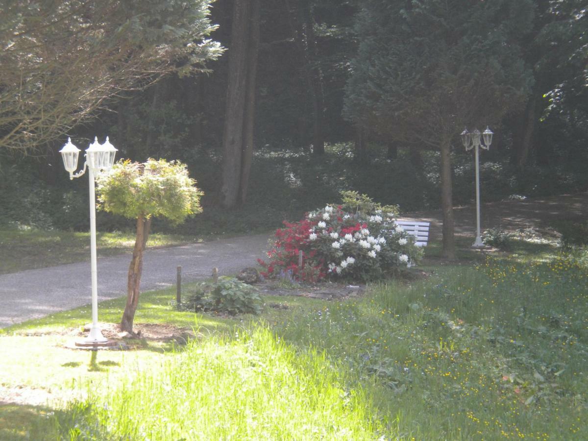 Buchschneider - Ferienhaus Maier - Landhof Schwarzautal ภายนอก รูปภาพ